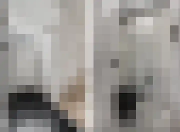 Zoetendaal 14 Buren thumbnail 23