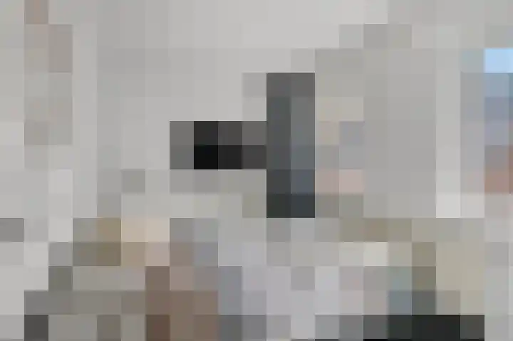 Zoetendaal 14 Buren thumbnail 29
