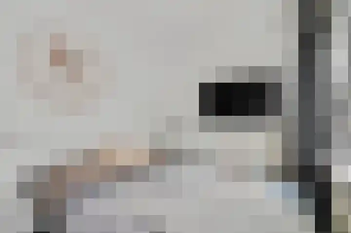 Zoetendaal 14 Buren thumbnail 30
