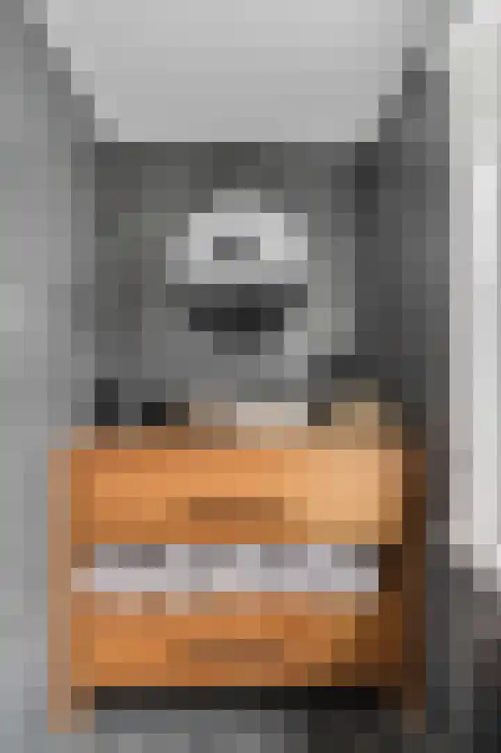 Zoetendaal 14 Buren thumbnail 33