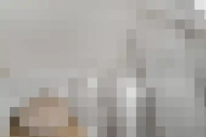 Zoetendaal 14 Buren thumbnail 43