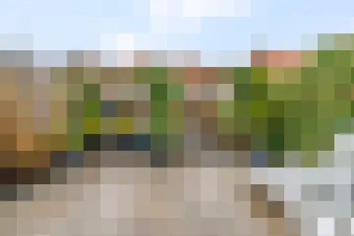 Zoetendaal 14 Buren thumbnail 46