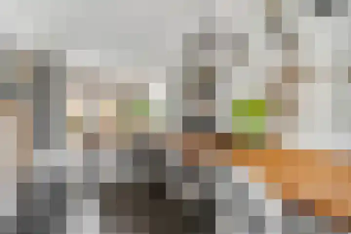 Zoetendaal 14 Buren thumbnail 7