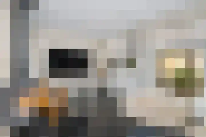 Zoetendaal 14 Buren thumbnail 9