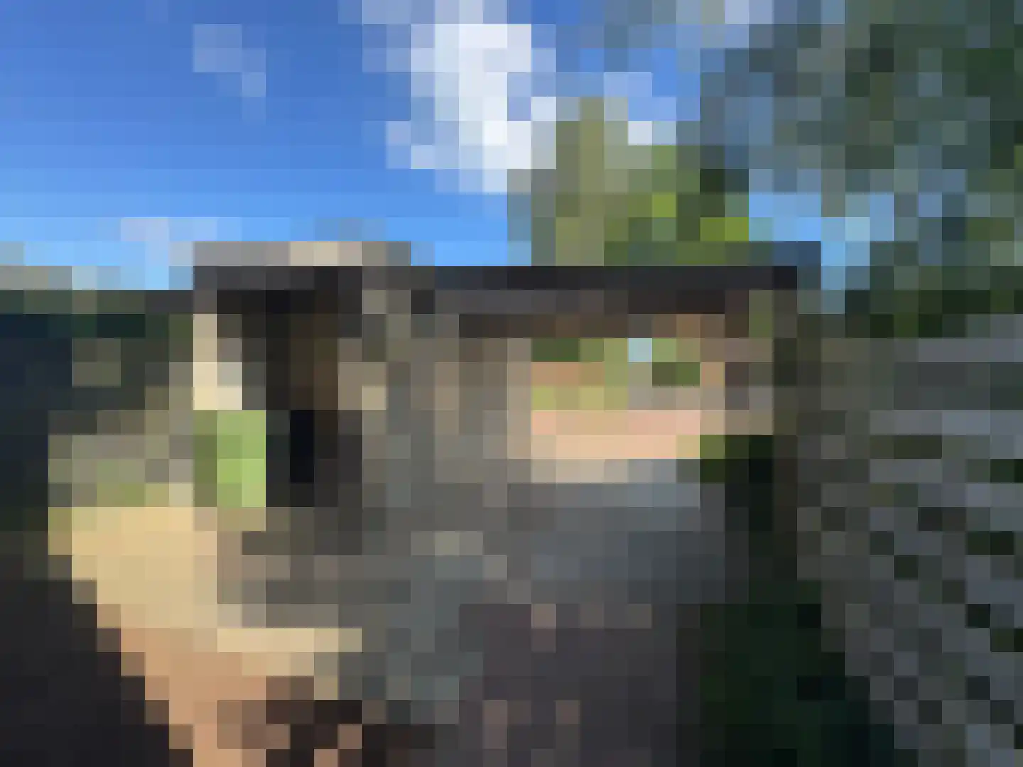 Zoetendaal 157 Elst thumbnail 6