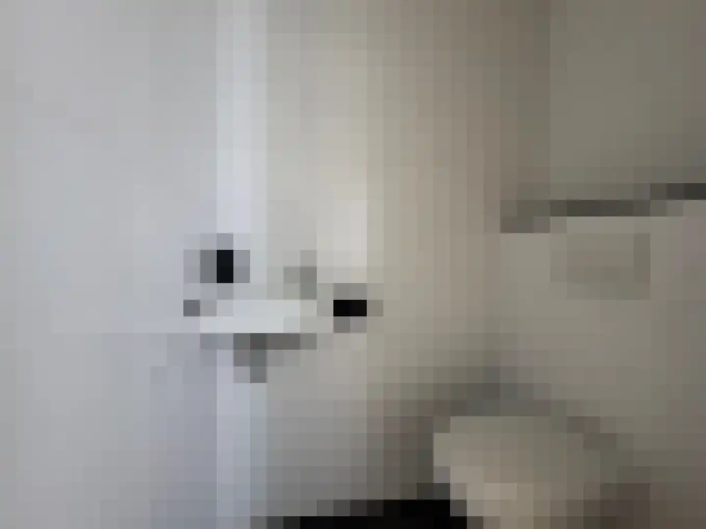 Zoetendaal 157 Elst thumbnail 9