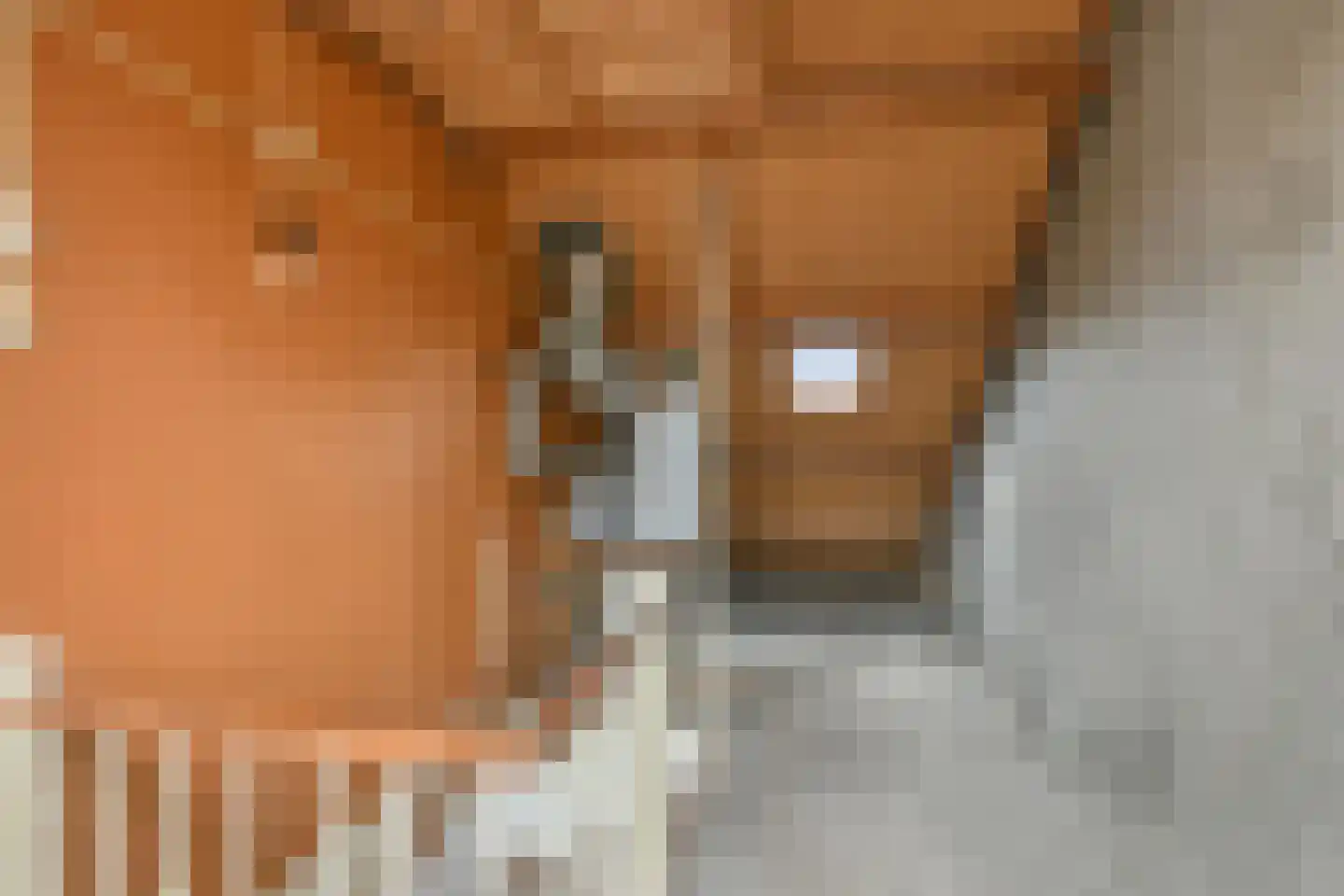 Zoetendaal 17 Elst thumbnail 32