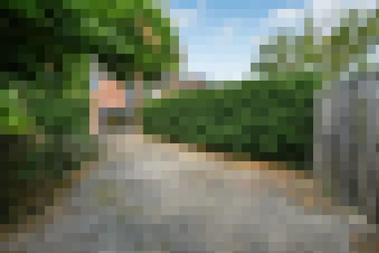 Zoetendaal 17 Elst thumbnail 37