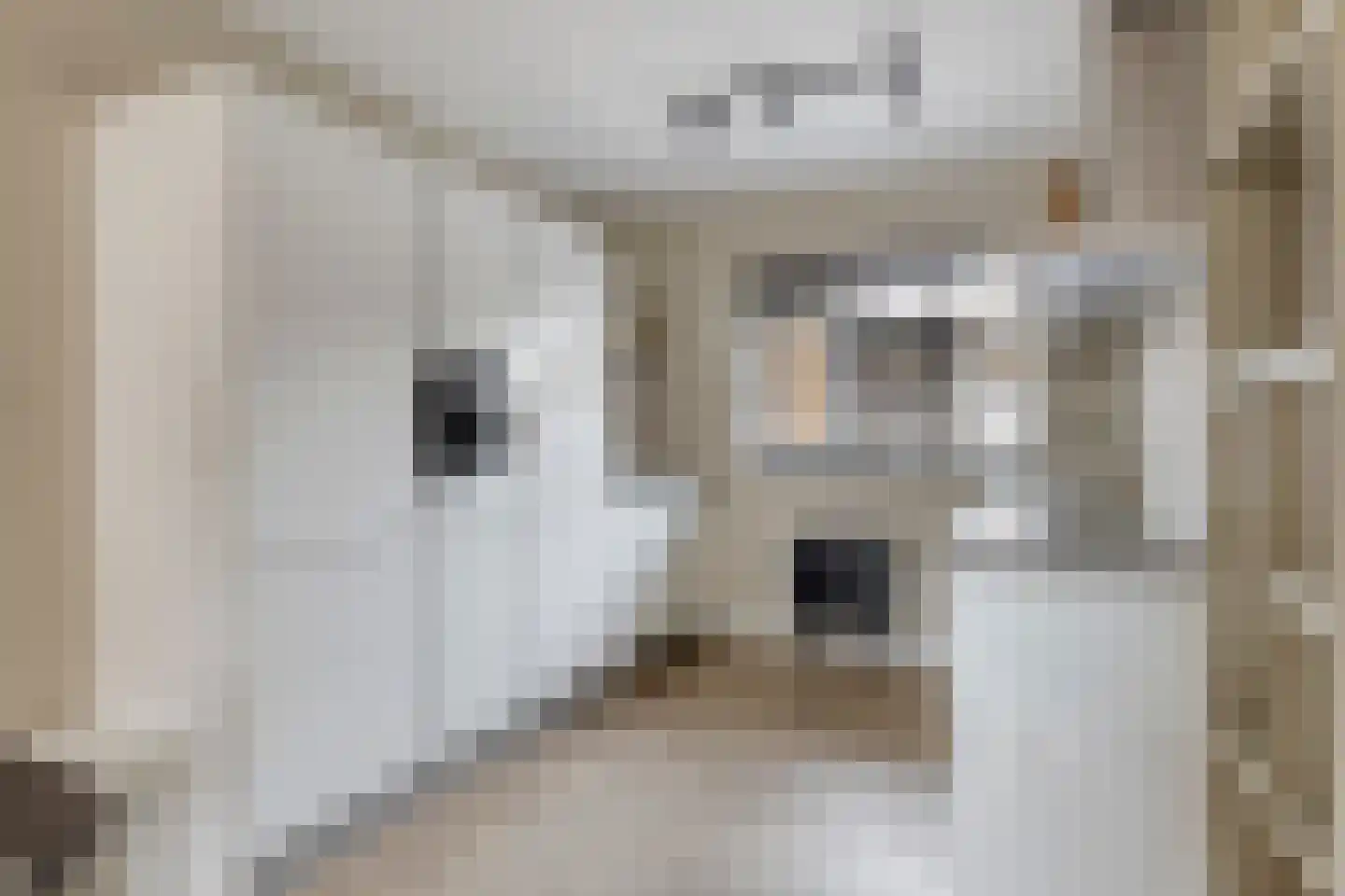 Zoetendaal 175 Elst thumbnail 16