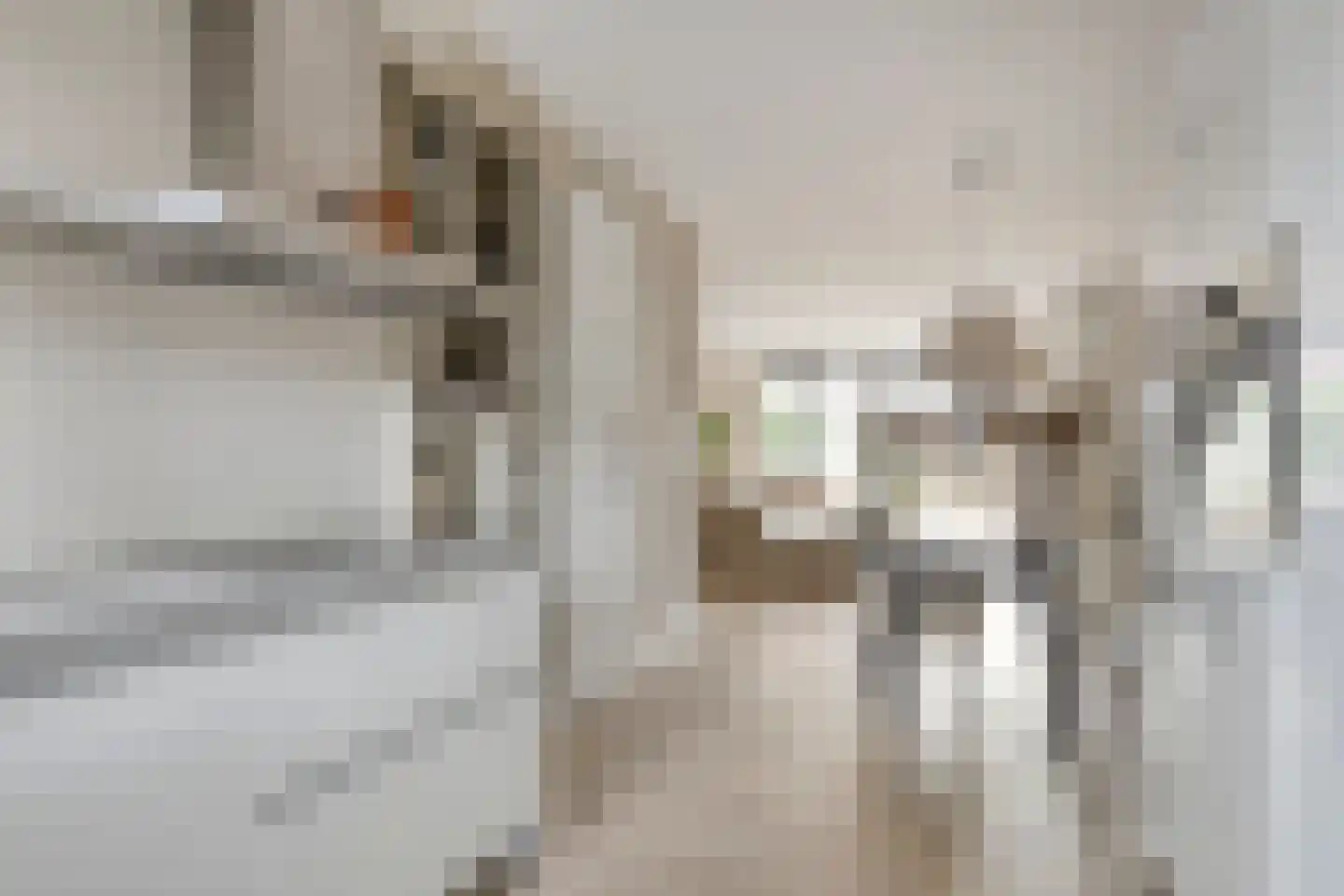 Zoetendaal 175 Elst thumbnail 18