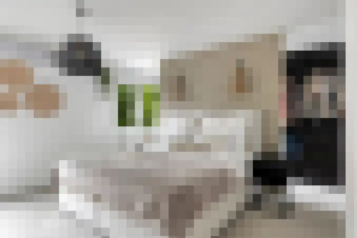 Zoetendaal 175 Elst thumbnail 26