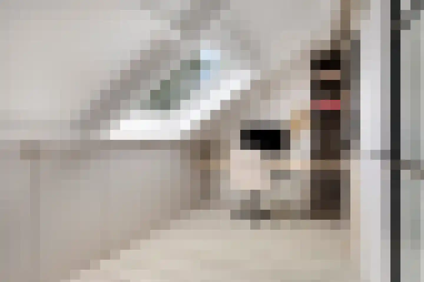 Zoetendaal 175 Elst thumbnail 34