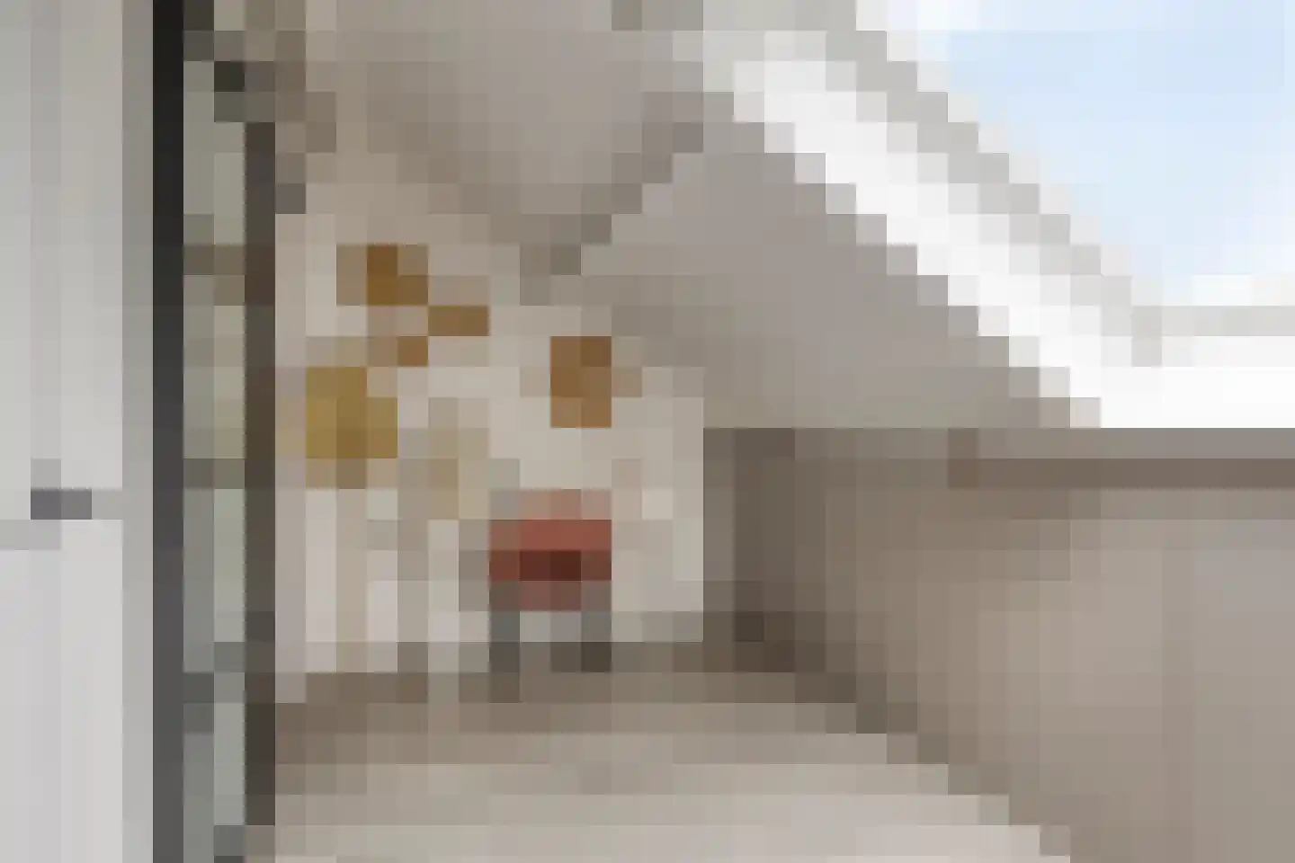 Zoetendaal 175 Elst thumbnail 35
