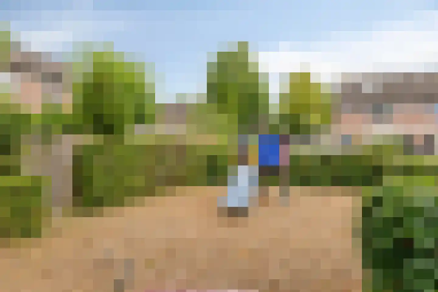 Zoetendaal 175 Elst thumbnail 40
