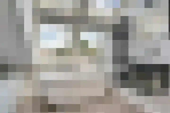 Zoetendaal 189 Elst thumbnail 13