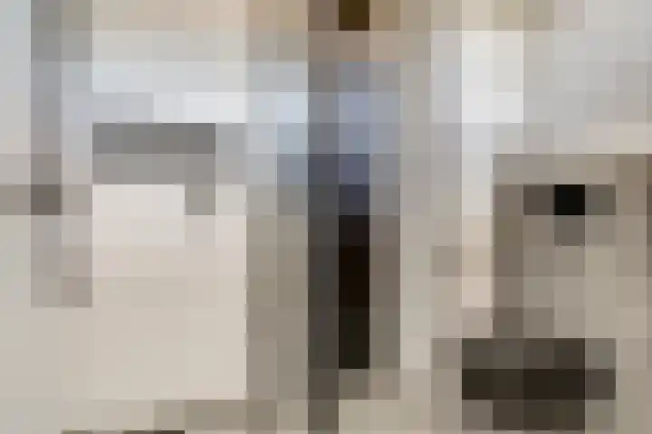 Zoetendaal 189 Elst thumbnail 18