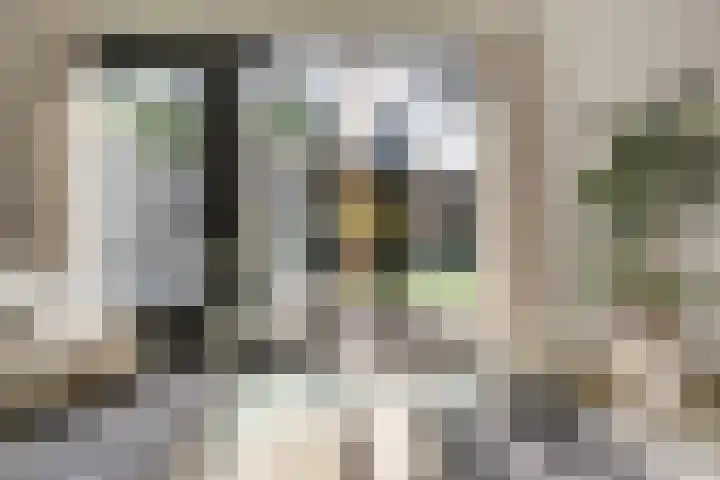 Zoetendaal 189 Elst thumbnail 25
