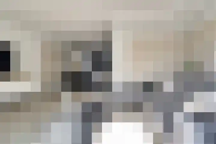 Zoetendaal 189 Elst thumbnail 26