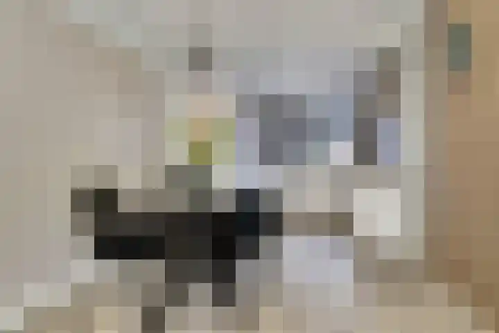 Zoetendaal 189 Elst thumbnail 28