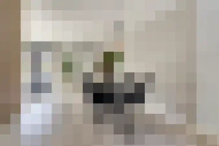 Zoetendaal 189 Elst thumbnail 31