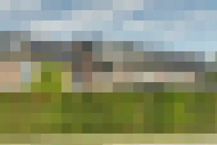 Zoetendaal 189 Elst thumbnail 6