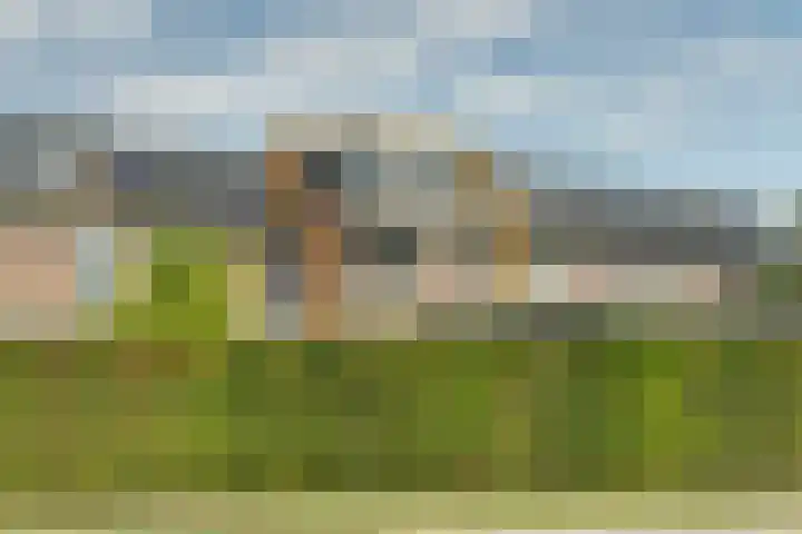 Zoetendaal 189 Elst thumbnail 7