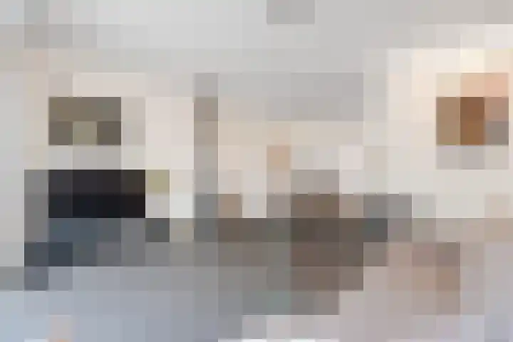 Zoetendaal 199 Elst thumbnail 12