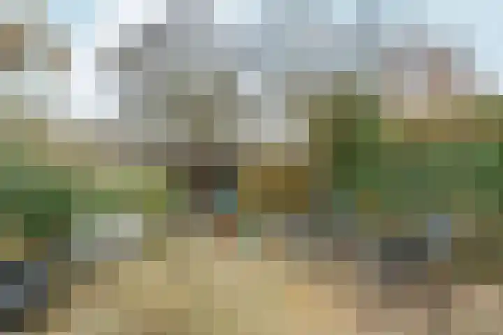 Zoetendaal 199 Elst thumbnail 27