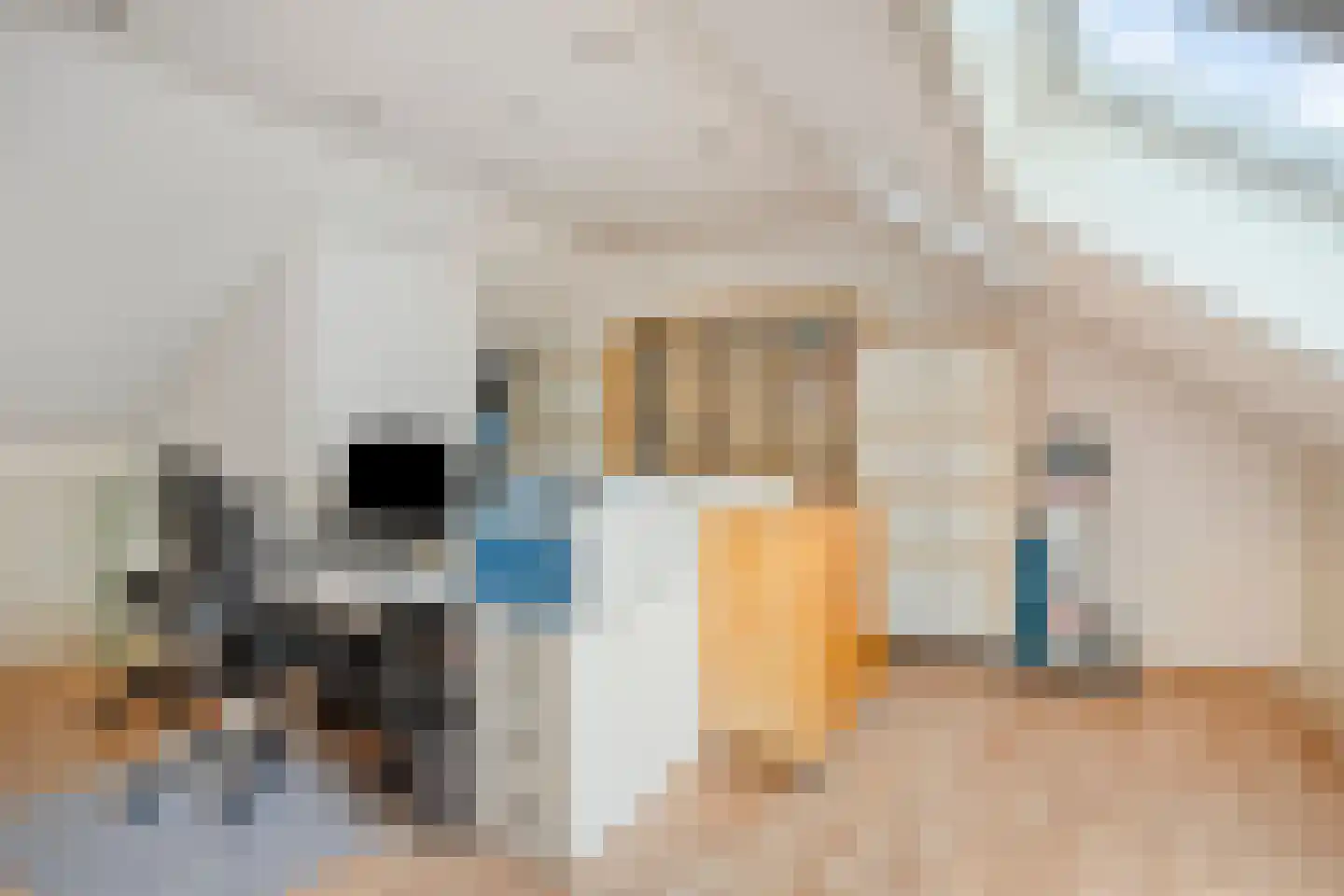 Zoetendaal 209 Elst thumbnail 28