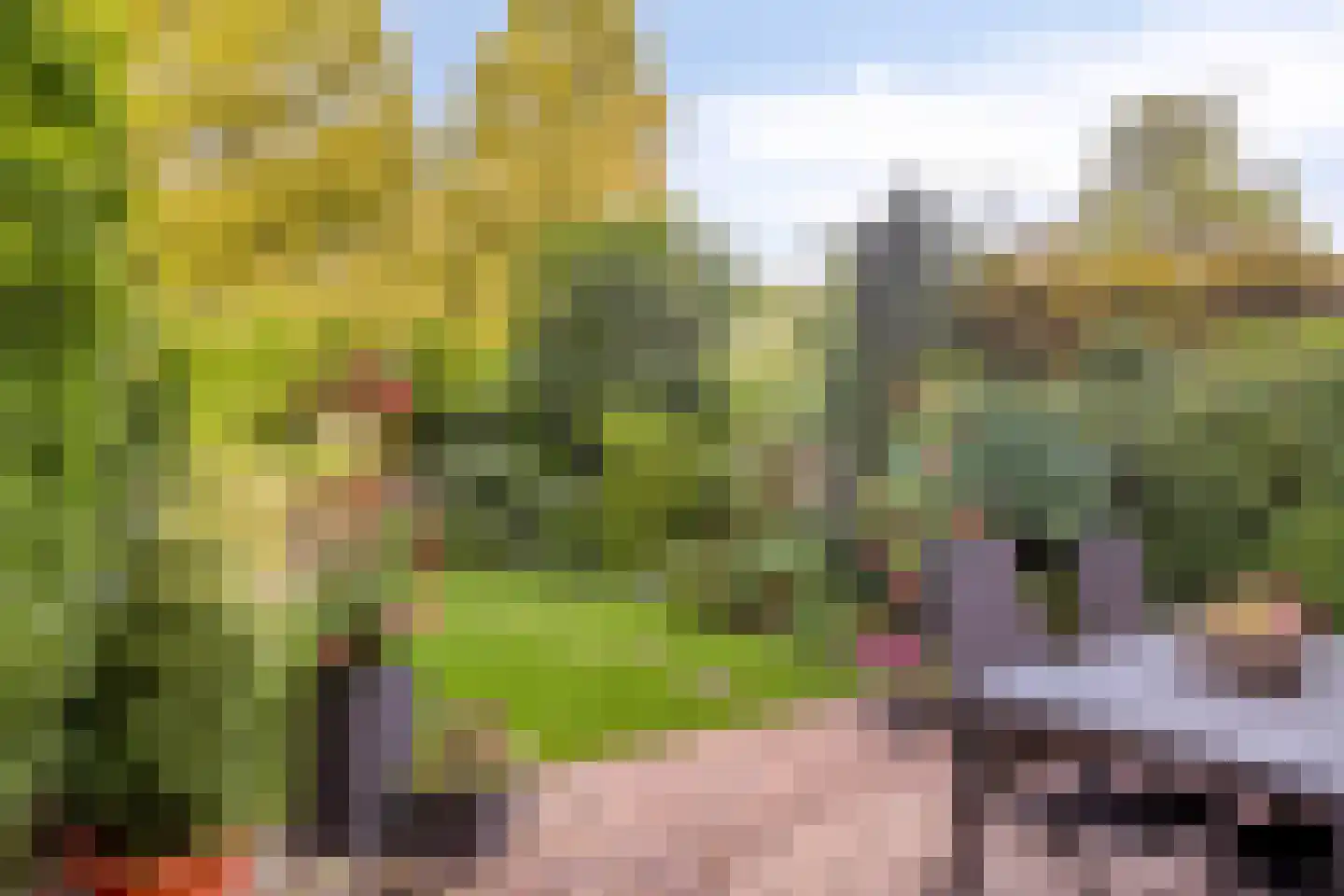 Zoetendaal 209 Elst thumbnail 30