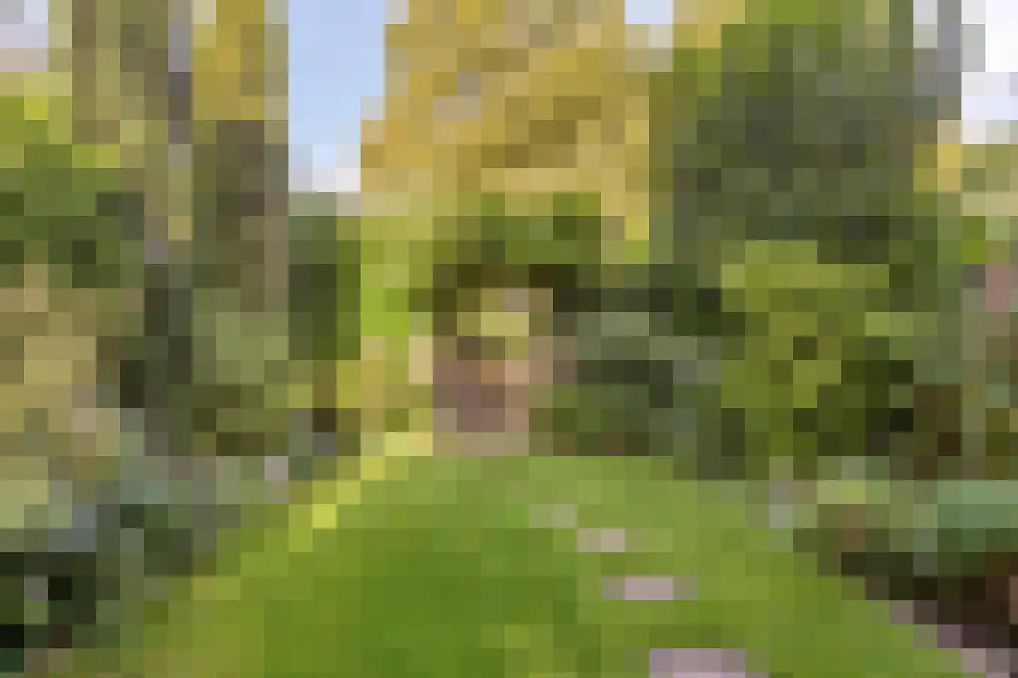 Zoetendaal 209 Elst thumbnail 31