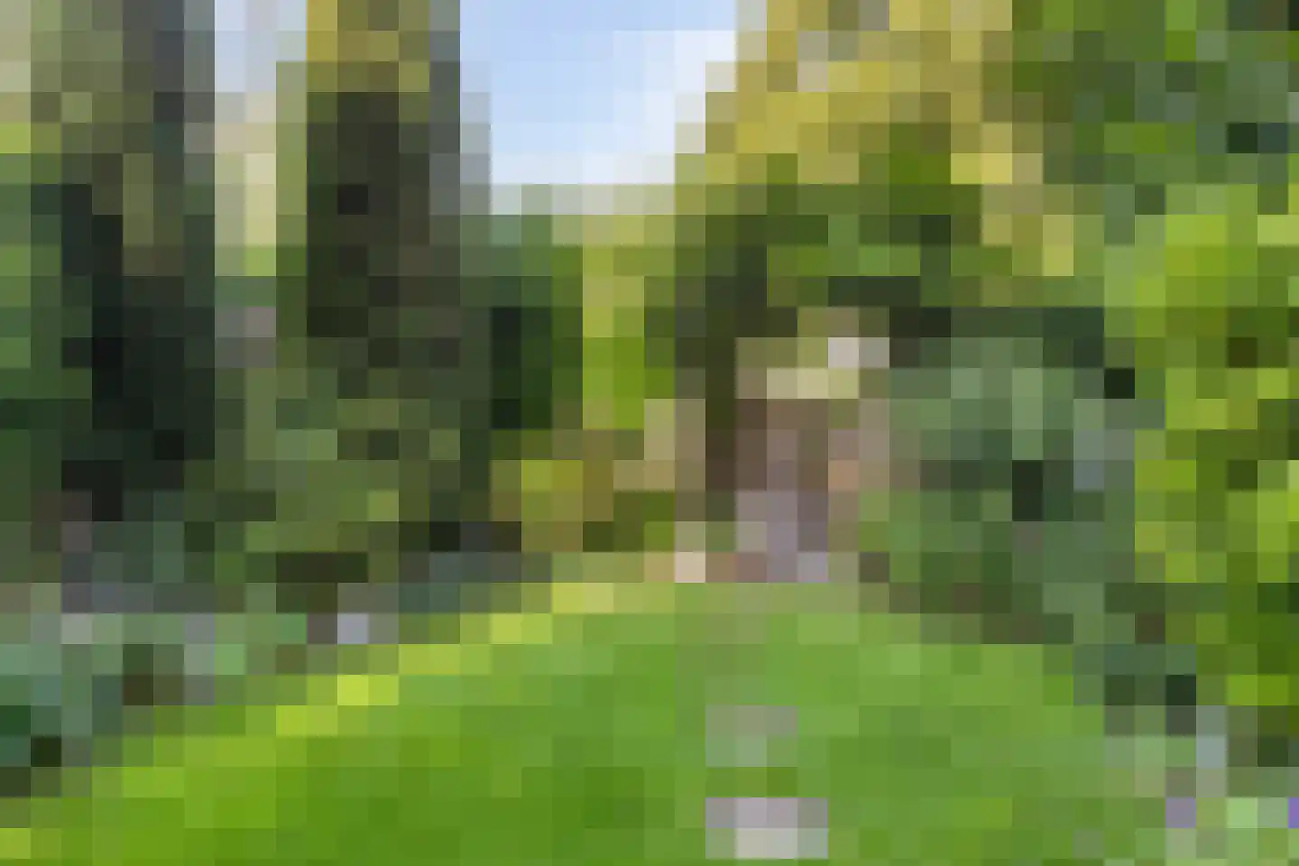 Zoetendaal 209 Elst thumbnail 33