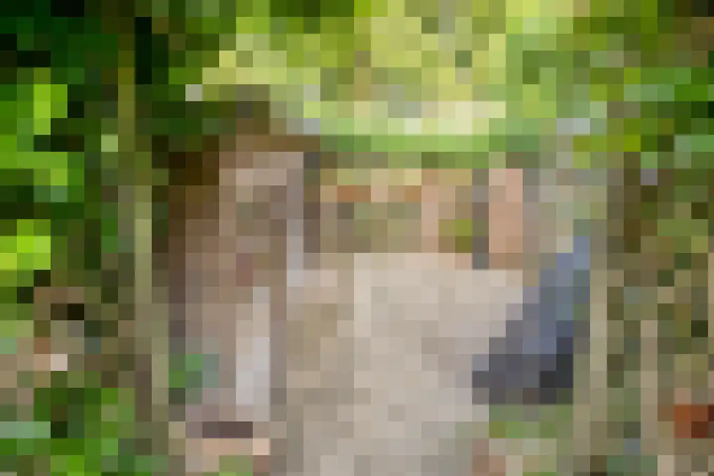 Zoetendaal 209 Elst thumbnail 35