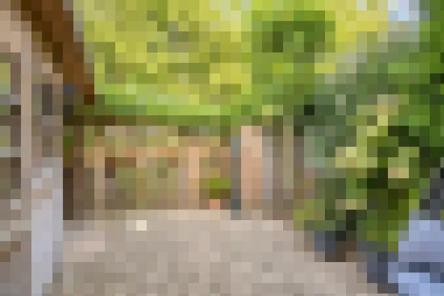 Zoetendaal 209 Elst thumbnail 36