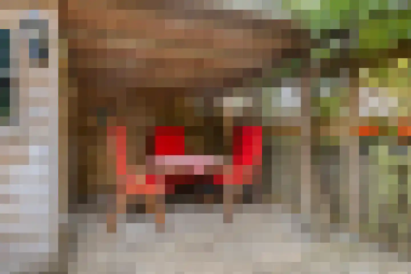 Zoetendaal 209 Elst thumbnail 37