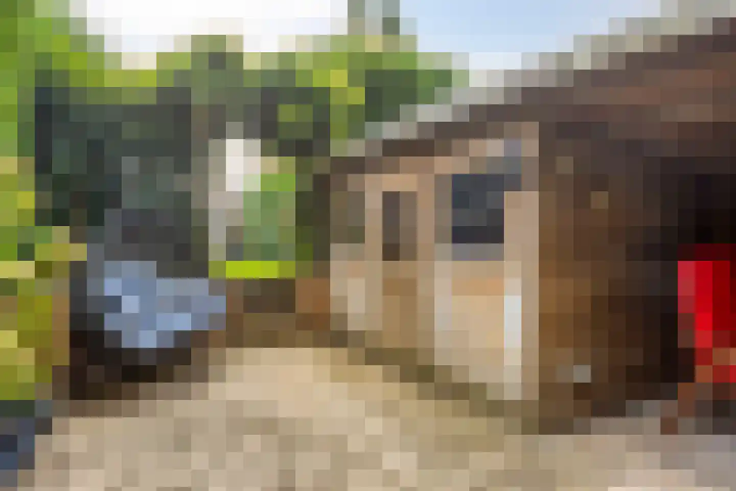 Zoetendaal 209 Elst thumbnail 38