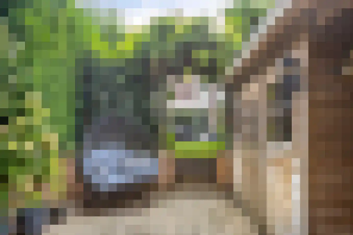 Zoetendaal 209 Elst thumbnail 39