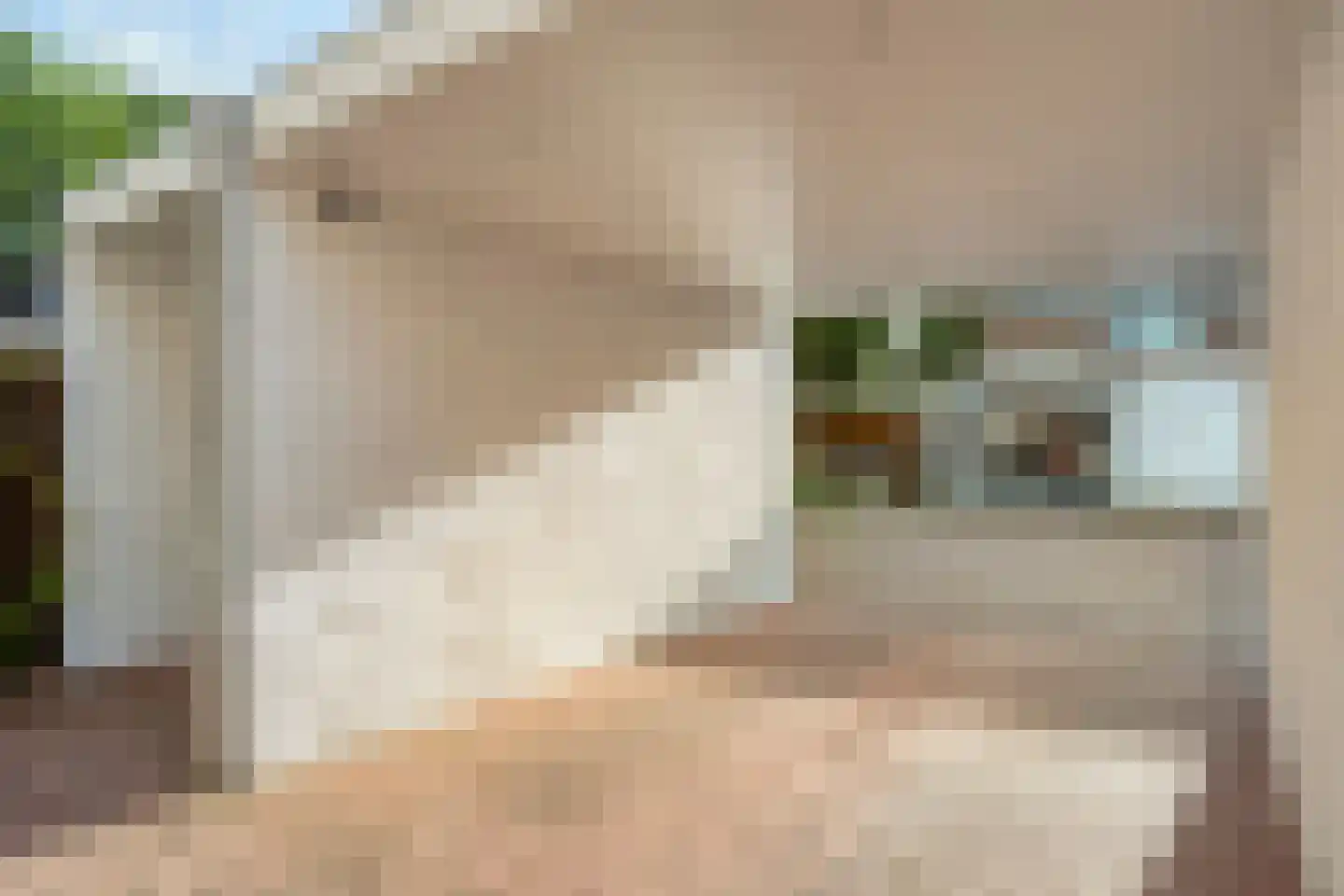 Zoetendaal 209 Elst thumbnail 4
