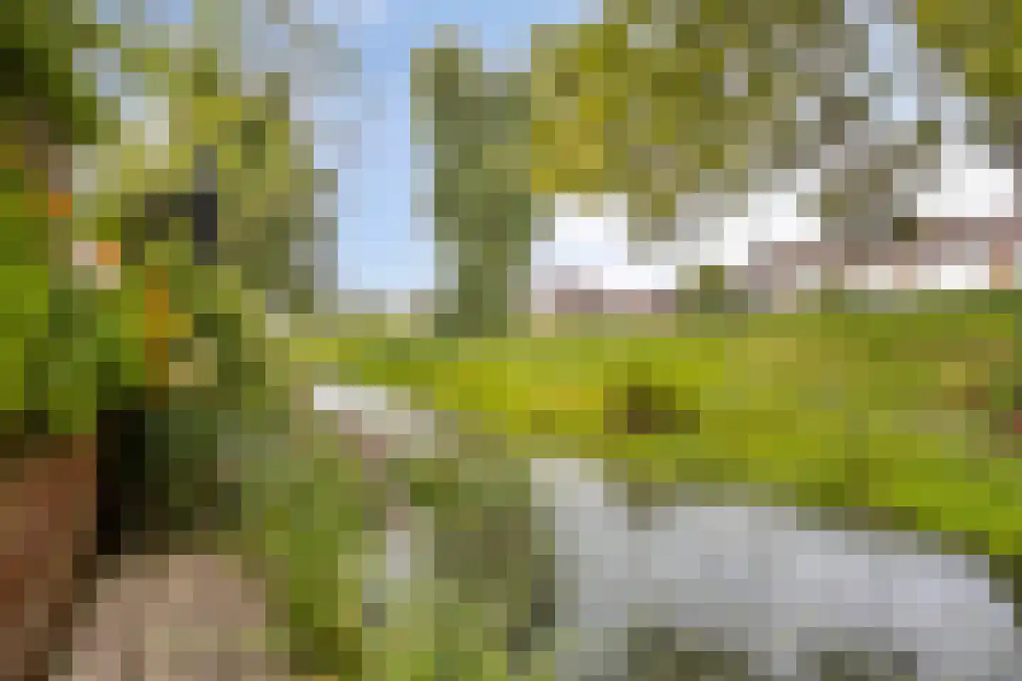 Zoetendaal 209 Elst thumbnail 41