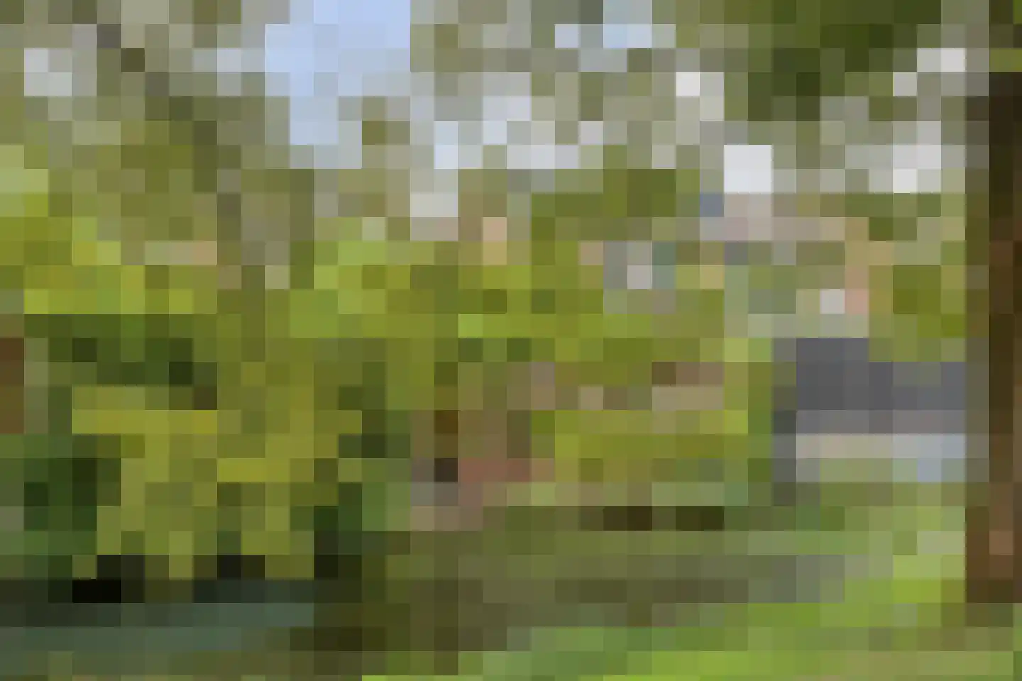 Zoetendaal 209 Elst thumbnail 42