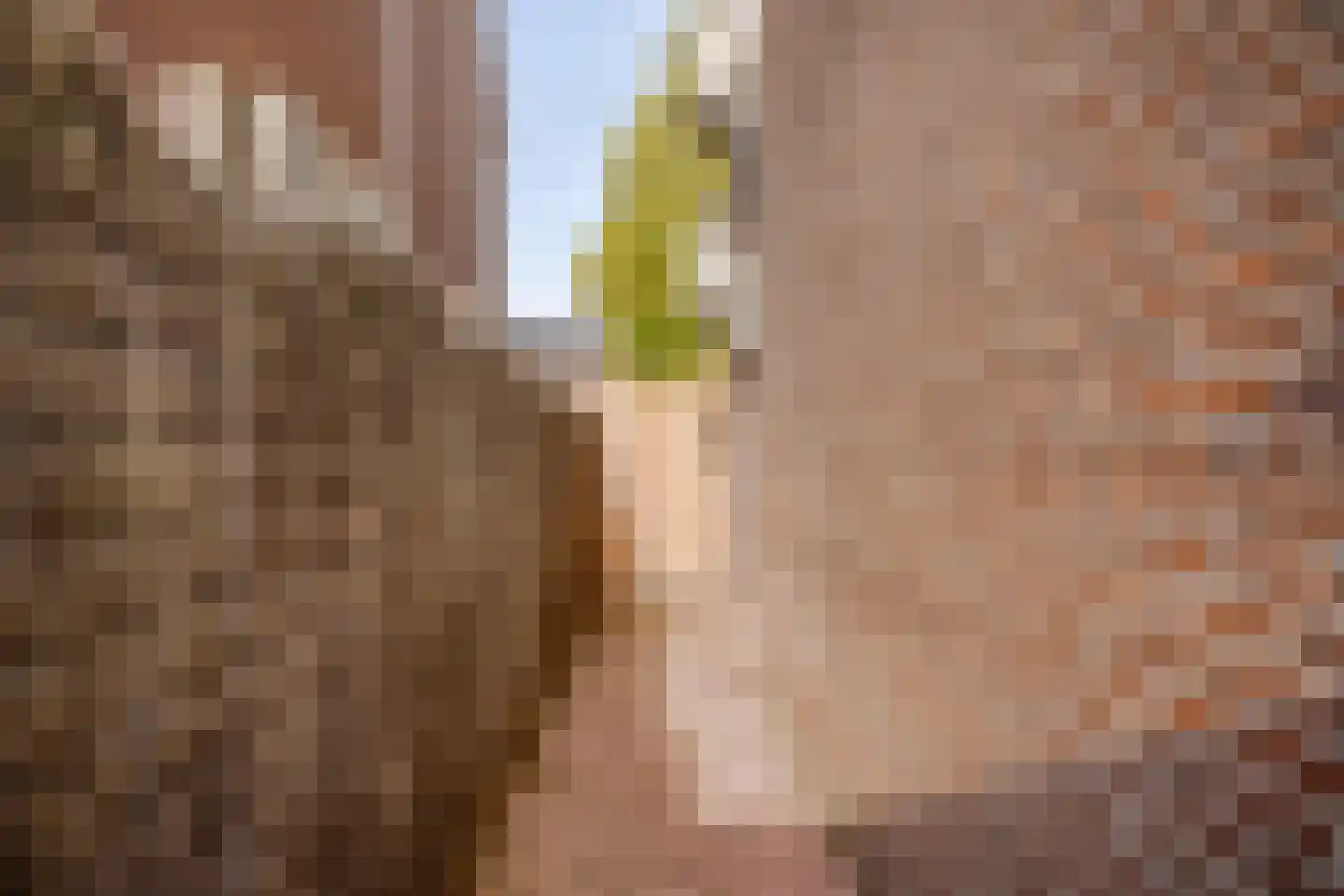 Zoetendaal 209 Elst thumbnail 5
