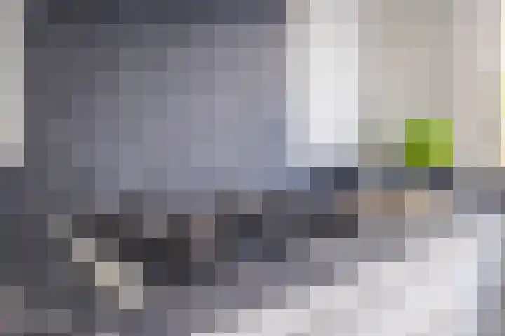 Zoetendaal 223 Elst thumbnail 10