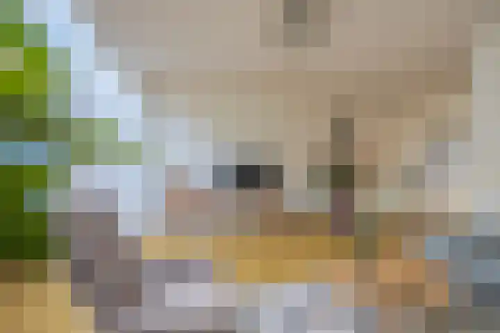 Zoetendaal 223 Elst thumbnail 15