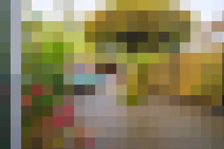 Zoetendaal 223 Elst thumbnail 20