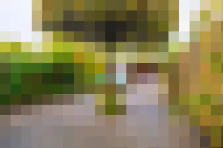 Zoetendaal 223 Elst thumbnail 21