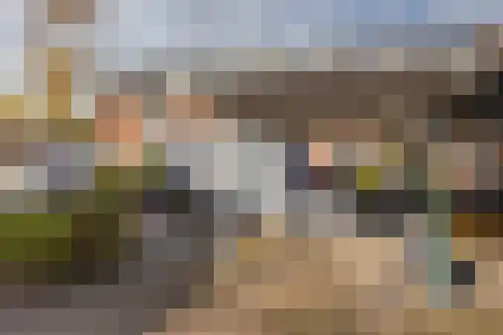 Zoetendaal 223 Elst thumbnail 35