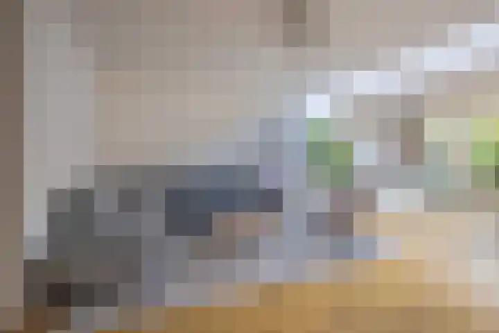 Zoetendaal 223 Elst thumbnail 7