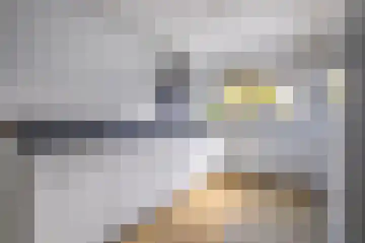 Zoetendaal 223 Elst thumbnail 8