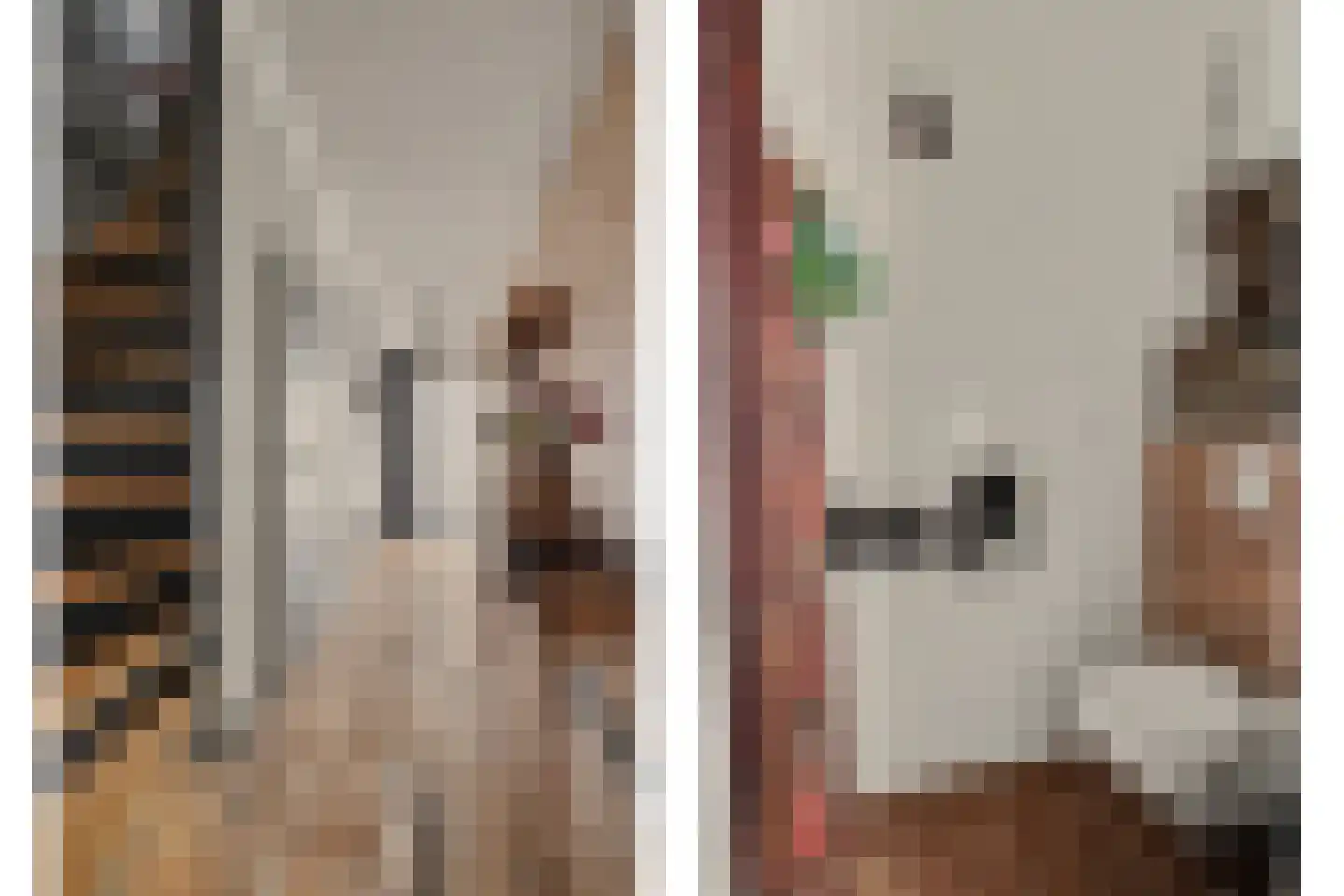 Zoetendaal 225 Elst thumbnail 10