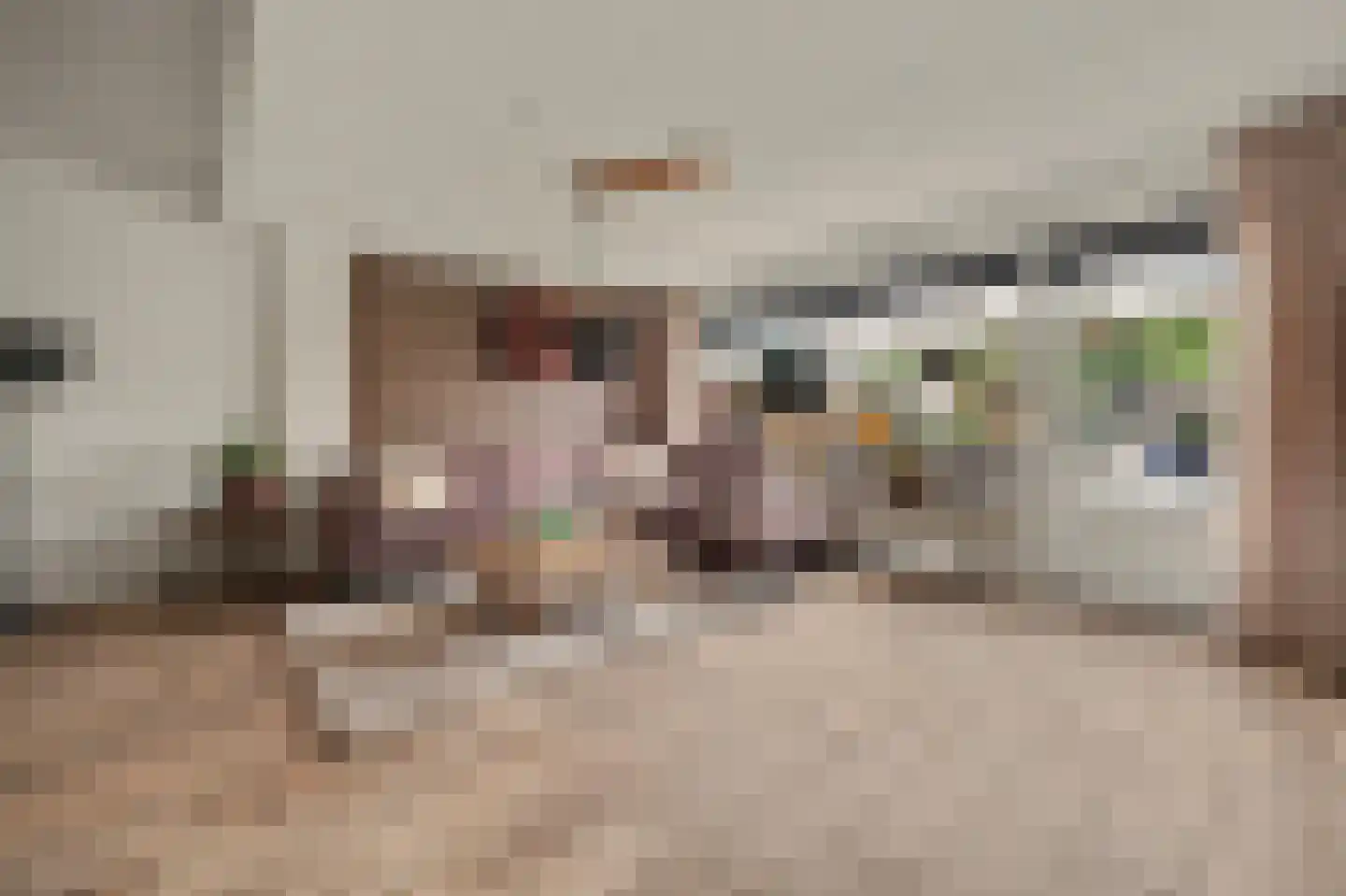 Zoetendaal 225 Elst thumbnail 12